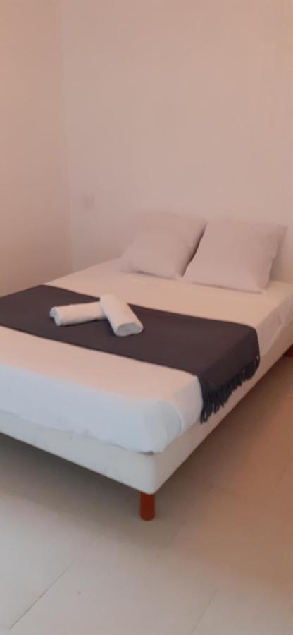 Casa Prunelli 2 Omessa エクステリア 写真